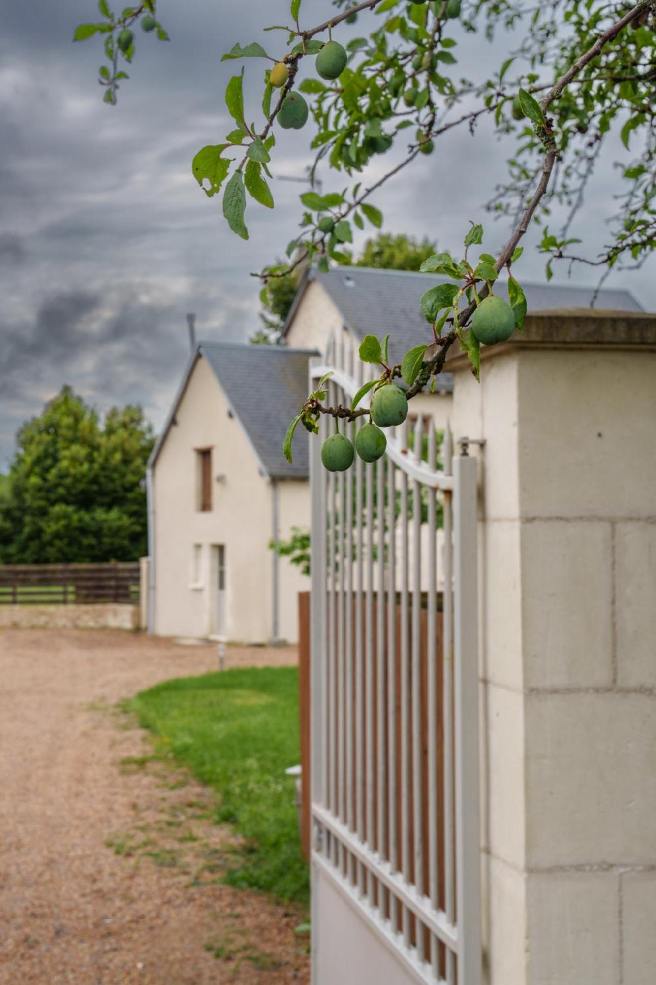 Maison Campagne Proche Tours Et Loches 6 Personnes Saint-Branchs 외부 사진