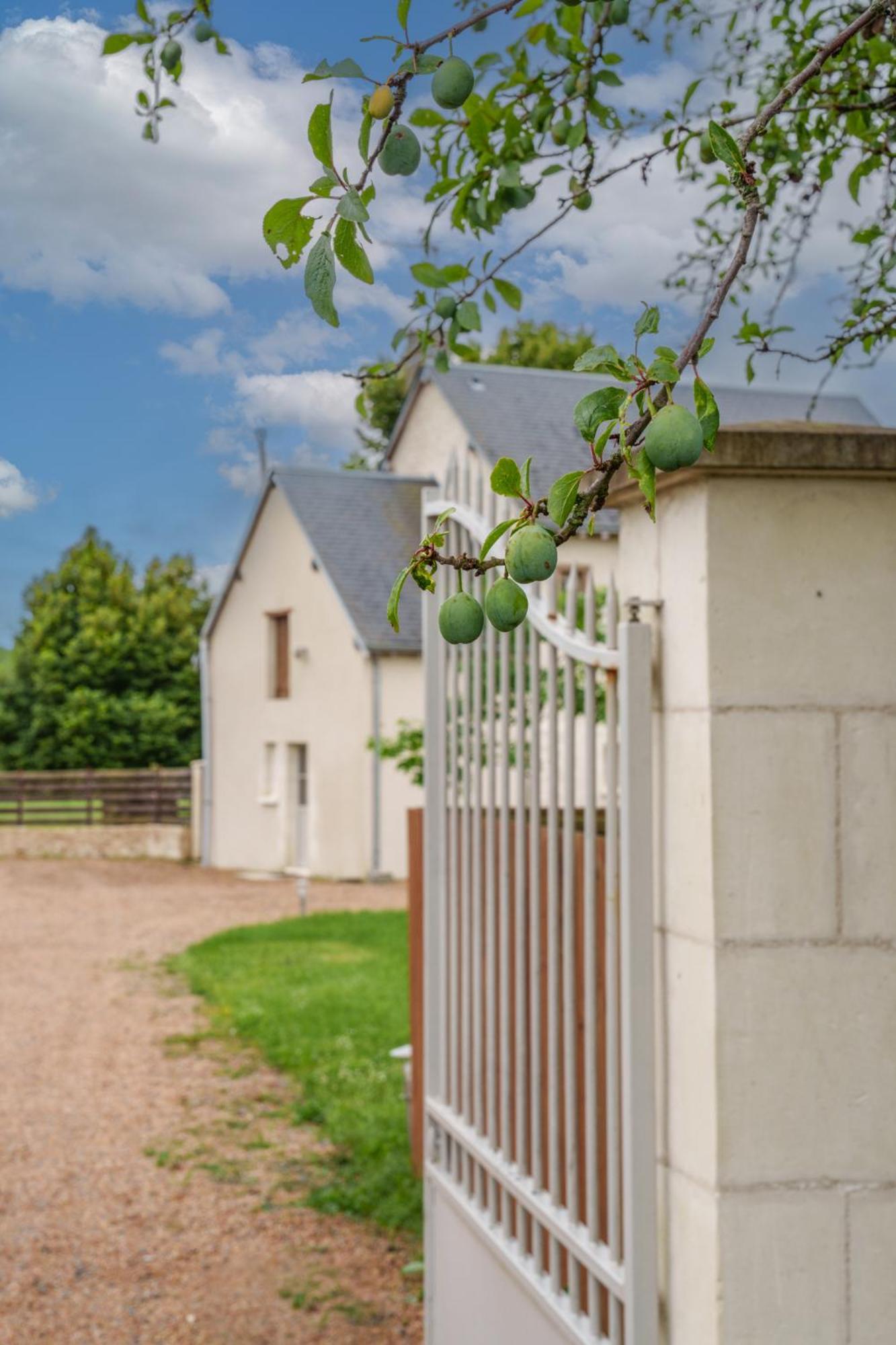 Maison Campagne Proche Tours Et Loches 6 Personnes Saint-Branchs 외부 사진
